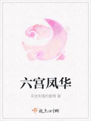 六宫凤华主要讲什么