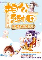 农门相公追妻忙