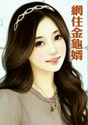金龟婿在线阅读