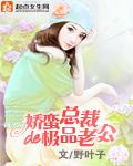 娇蛮总裁的极品老公全文阅读