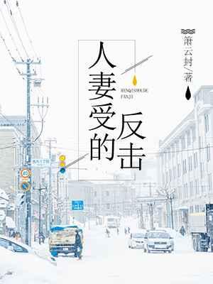 人妻受的反击讲的什么