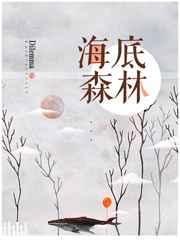 海底森林日子