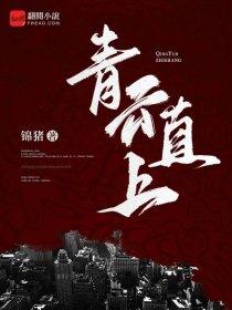 亮剑抗日之铁血远征笔趣