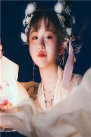 主角穿越成九皇子