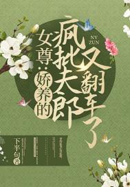 女尊娇养的疯批夫郎又翻车了简介