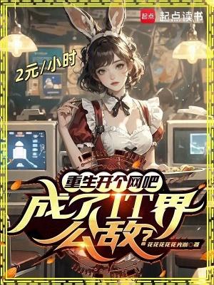 重生开个网吧成了it界公敌3q