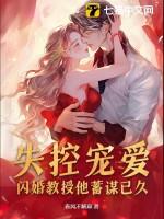 闪婚教授甜文