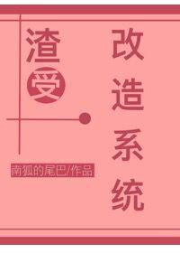 渣受改造系统 一波三折