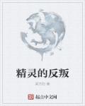 精灵的复仇全集