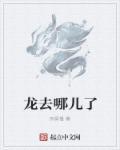 龙在哪里主题曲