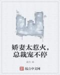 娇妻很甜误惹冷情总裁