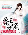兽王强宠逆天圣灵师全文免费阅读