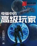 电弧中的高级玩家 手打无错字版
