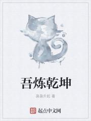 炼尽乾坤顶点