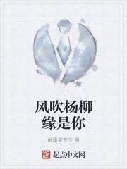 风吹杨柳歌词的歌曲
