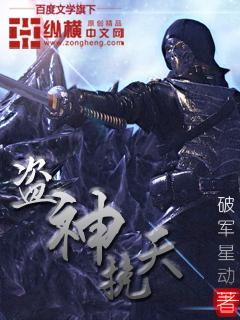 盗神全文阅读