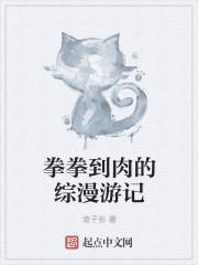 拳拳到肉无限流