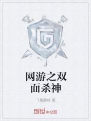 网游之双剑合璧