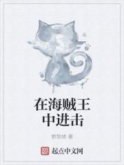 在海贼世界开店